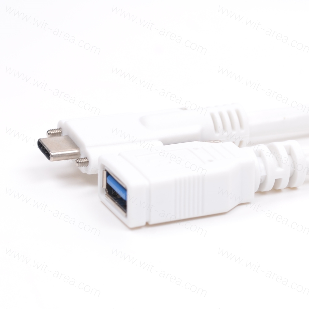 Panel mount USB 3.0 AF TO USB C Male cable with dual M 2.0 locking screw
