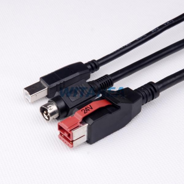 24V Powered USB Cable to Y S video HOSIDEN Male + USB B Type 2m Splitter Cable